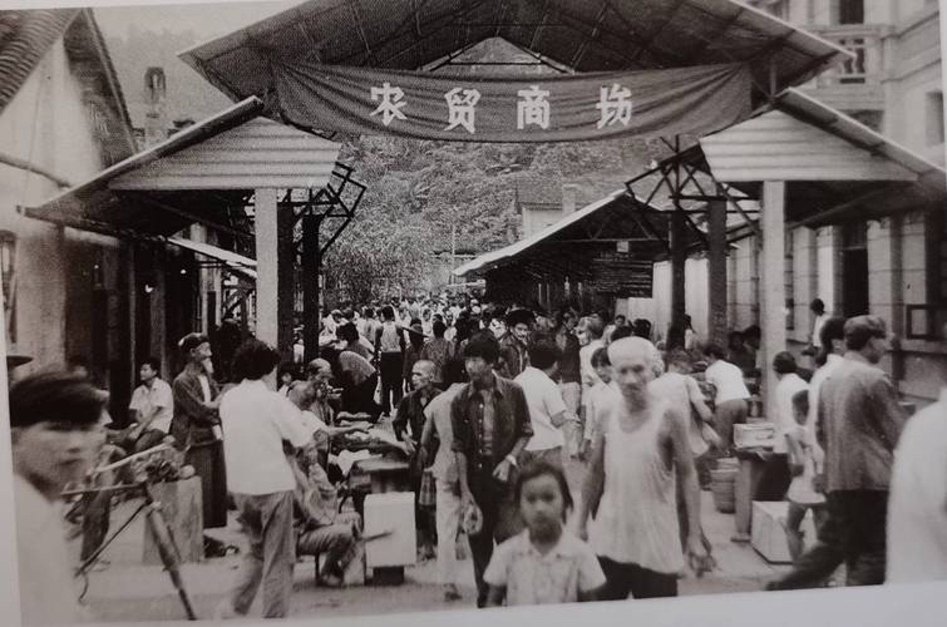 中瑞黄金